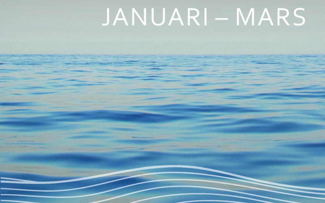 Delårsrapport 1 januari – 31 mars 2024