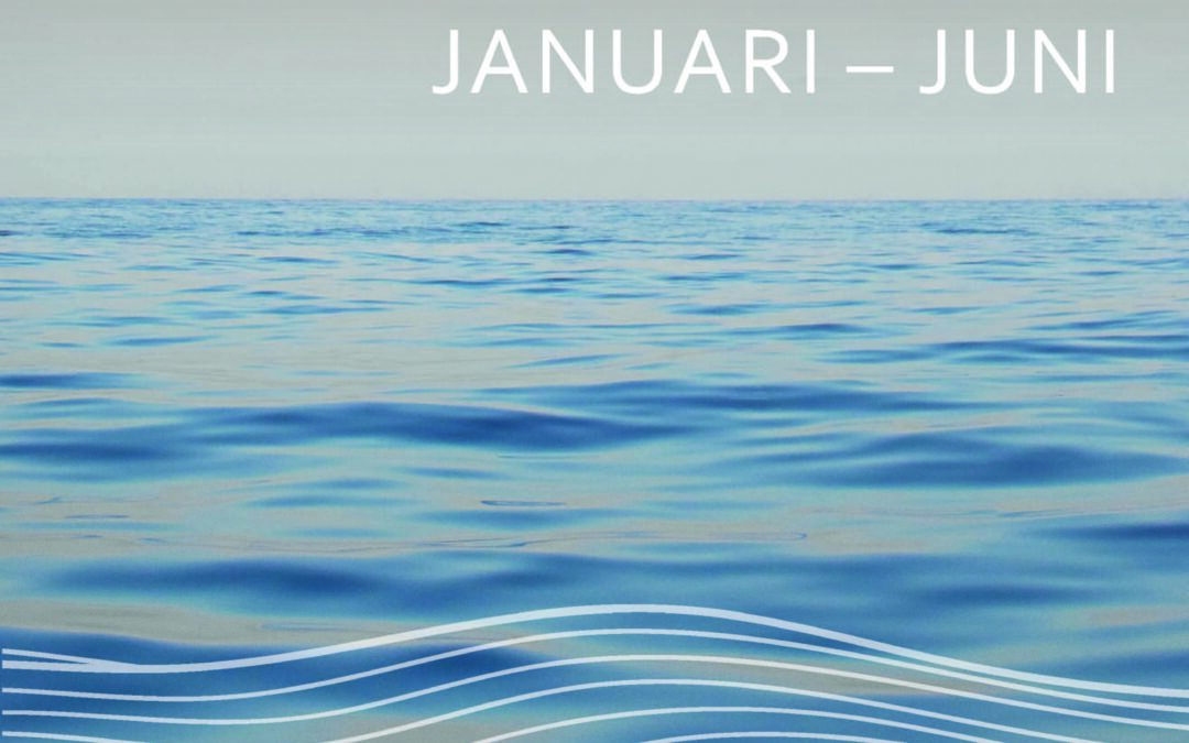 Delårsrapport 1 januari – 30 juni 2024
