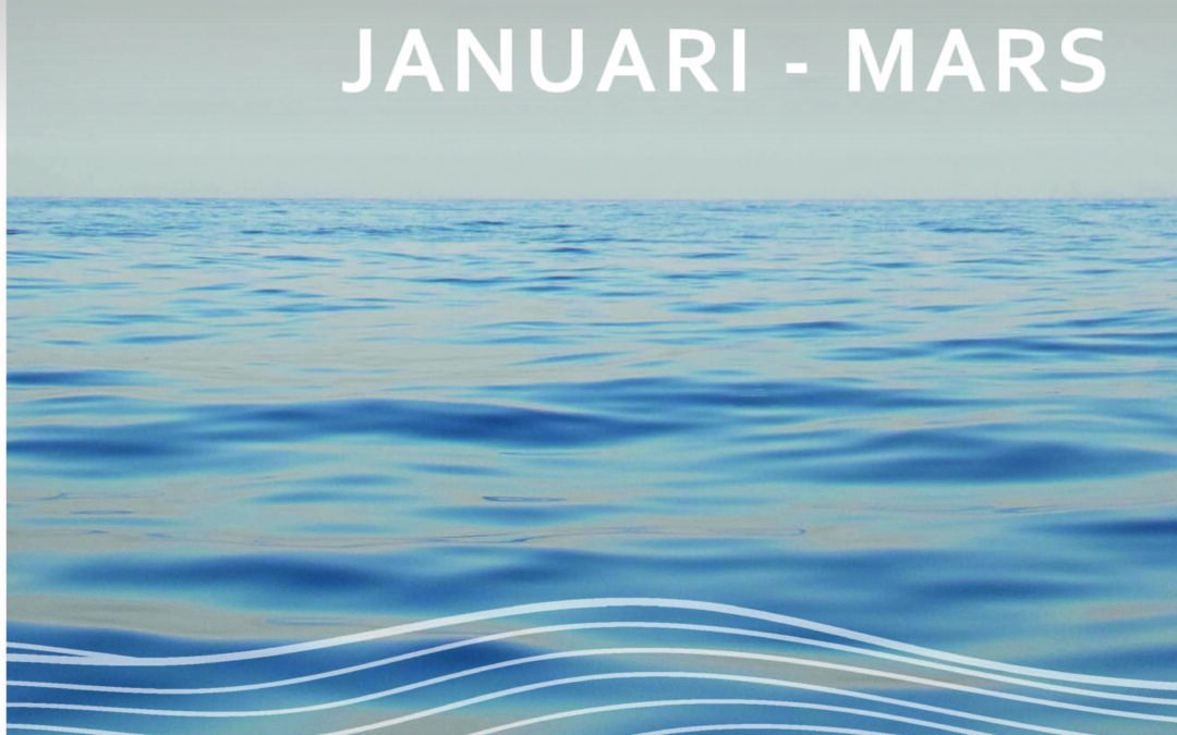 Delårsrapport 1 januari – 31 mars 2025