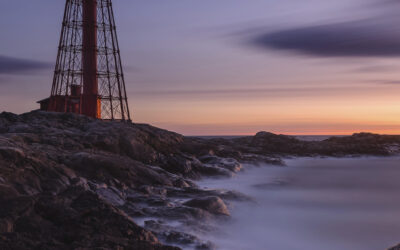 Årsredovisning 2025